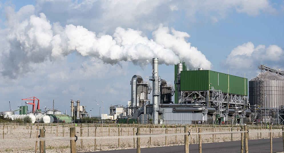 脫硫塔黄色香蕉在线观看